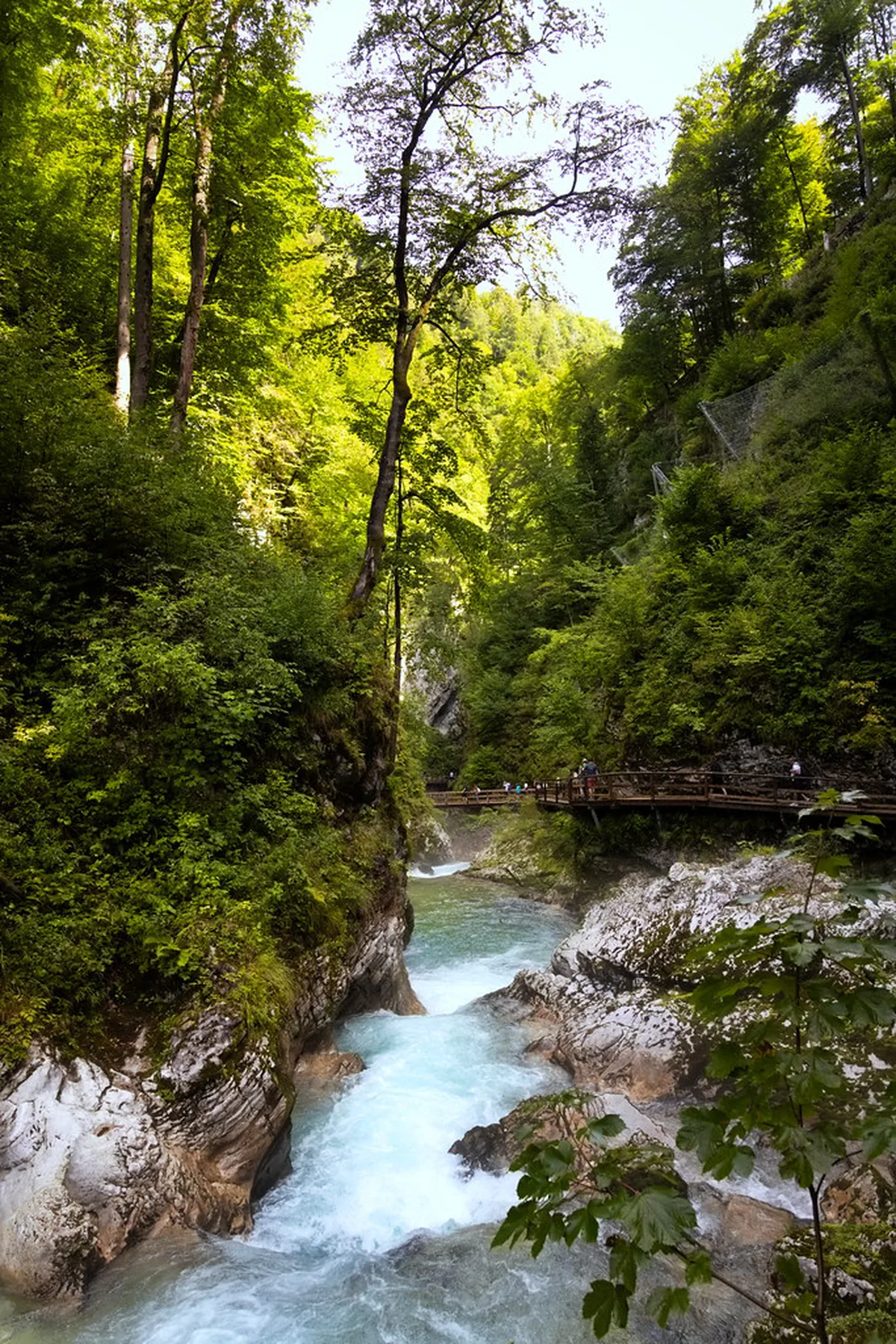 Vintgar Gorge Near Lake Bled: Tickets, Trail, and Tips for 2026